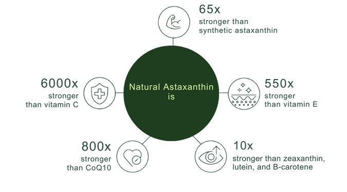 natural astaxanthin potency vs vitamin E, C, lutein, zeaxanthin and b-carotene