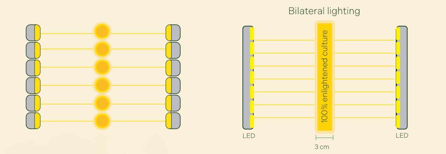 4. generációs síkpaneles fotobioreaktor: vékony, 3 cm-es panel kétoldali LED-megvilágítással, 100%-ban megvilágított tenyészet